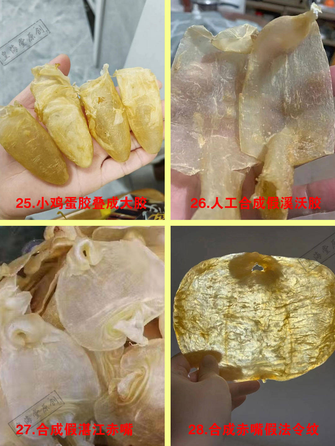 人工合成鱼胶如何分辨,假鱼胶图片汇总_品种_形状_大部分