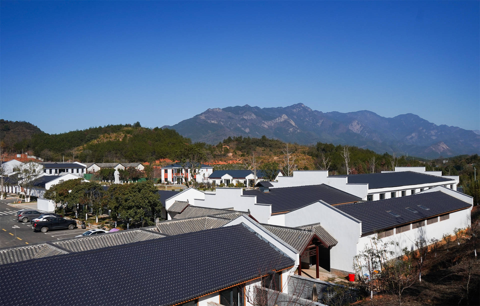 【庐康中药谷研学】收获满满!