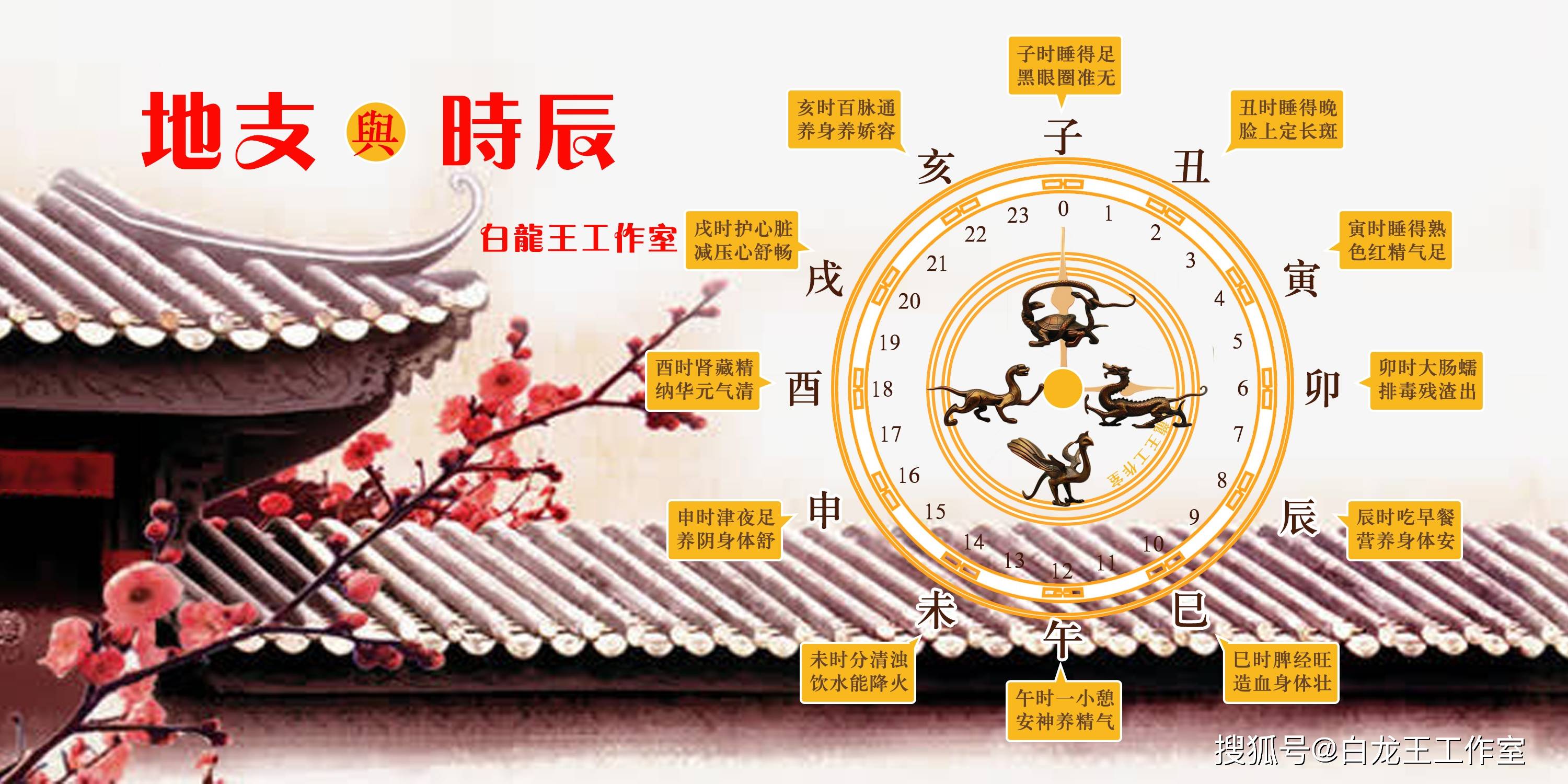 养生十二时辰表,健康一直守护着你!_时间_空腹_营养