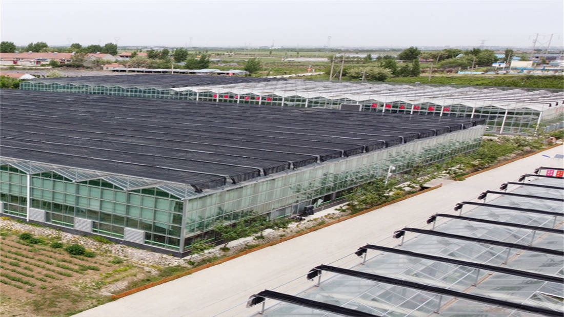 文洛式玻璃温室大棚_进行_温度_结构合理