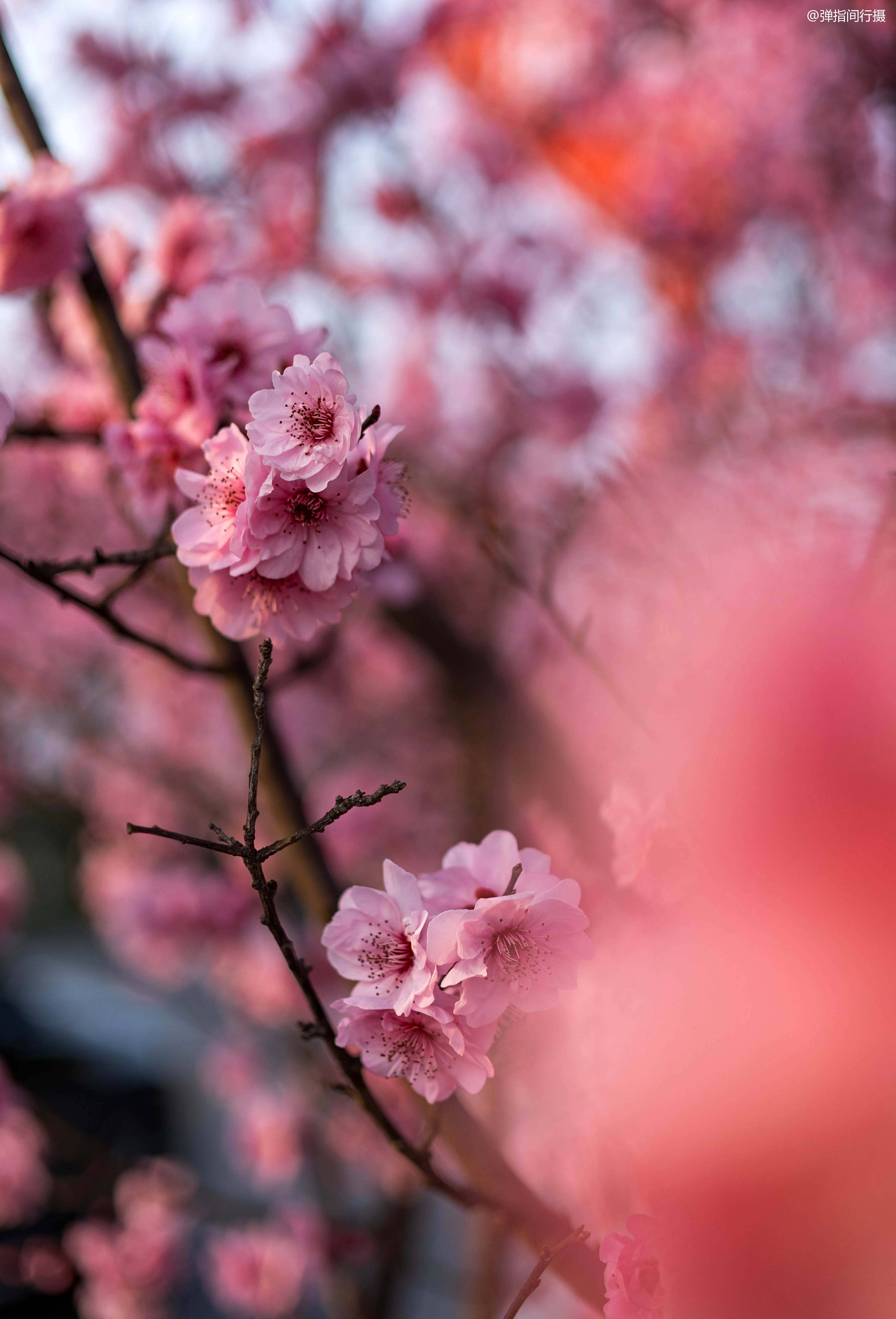 探索一见如故的浙江宁海,旅居在《徐霞客游记》中_设计_空间_喜来登