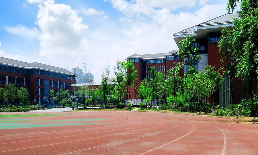 成都国际学校的招生条件有哪些？（成都国际学校哪个学校最好）