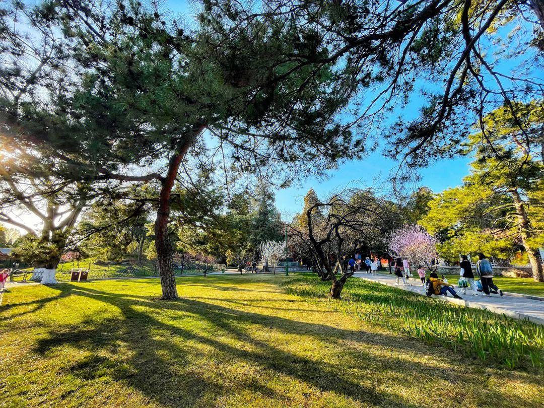 北京踏青好去处~!风景秀美,历史悠久,赶快收藏~!_长廊_文昌院_颐和园