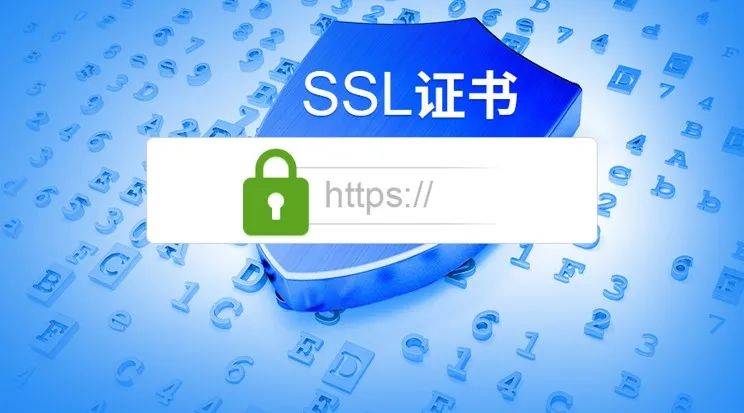 安装了SSL证书的网站在地址栏能看到哪些信息？