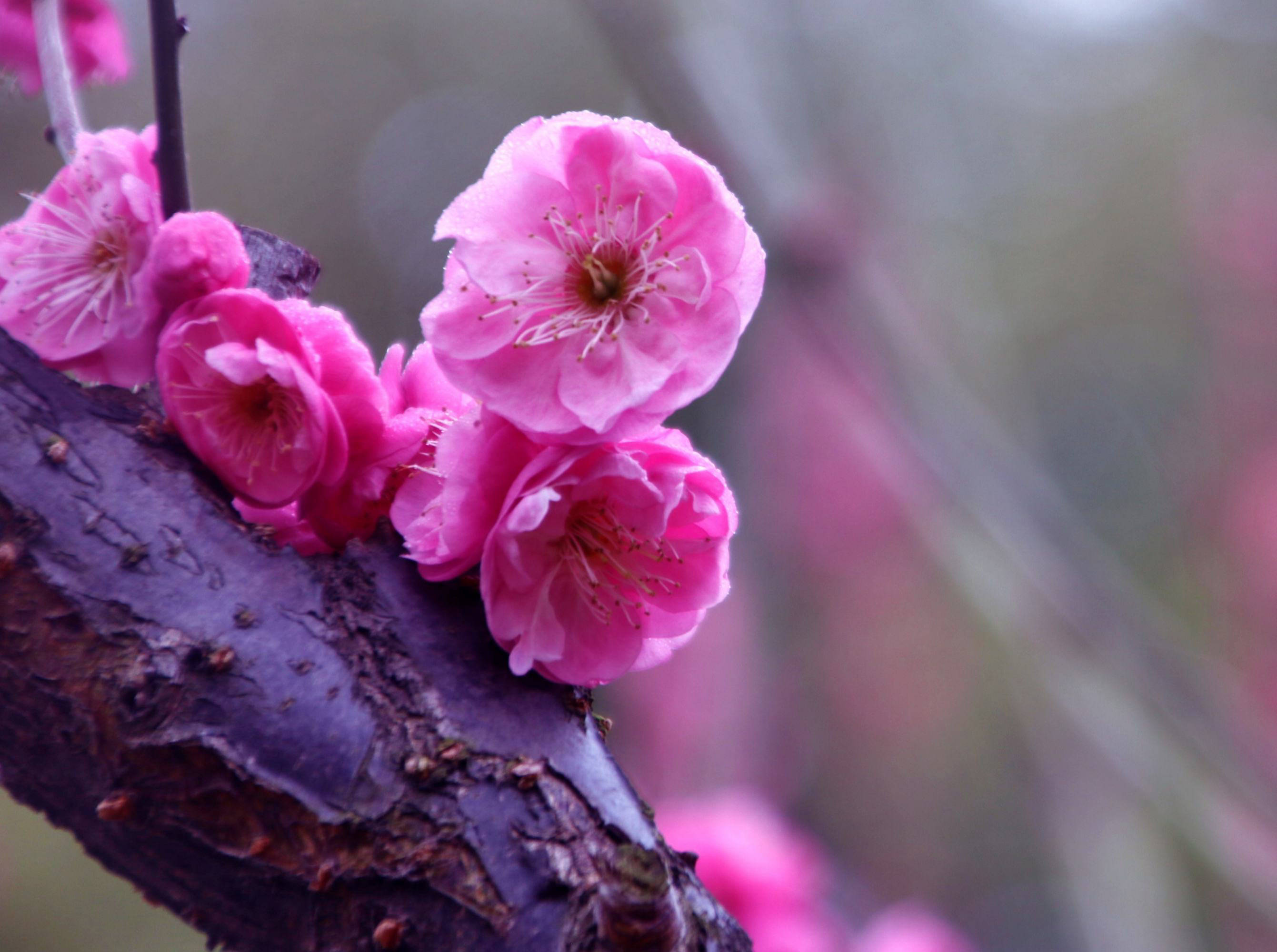 气盈门 人人健康 个个奋进 生意骏茂 财源滚滚通四海 金银财宝堆满仓