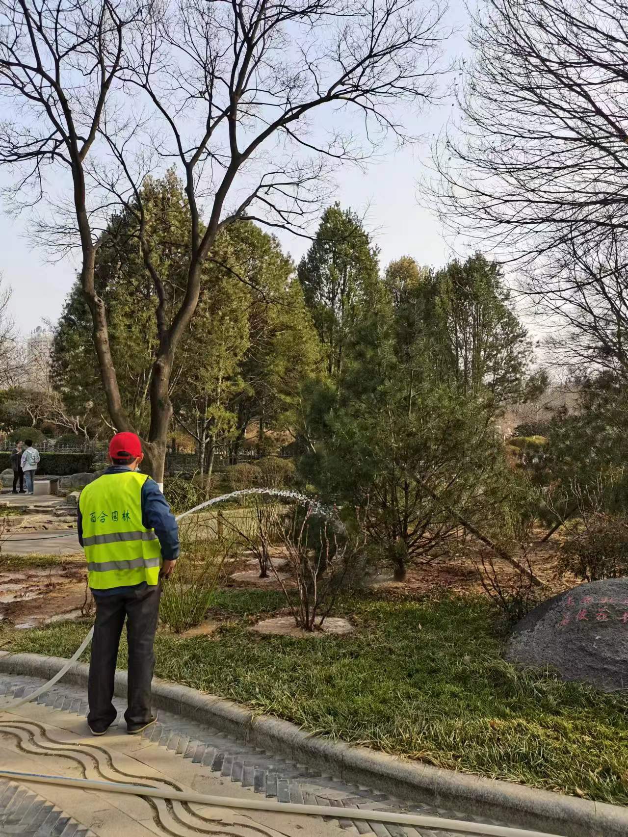 园林植物图片（图片壁纸风景 唯美） 第1张