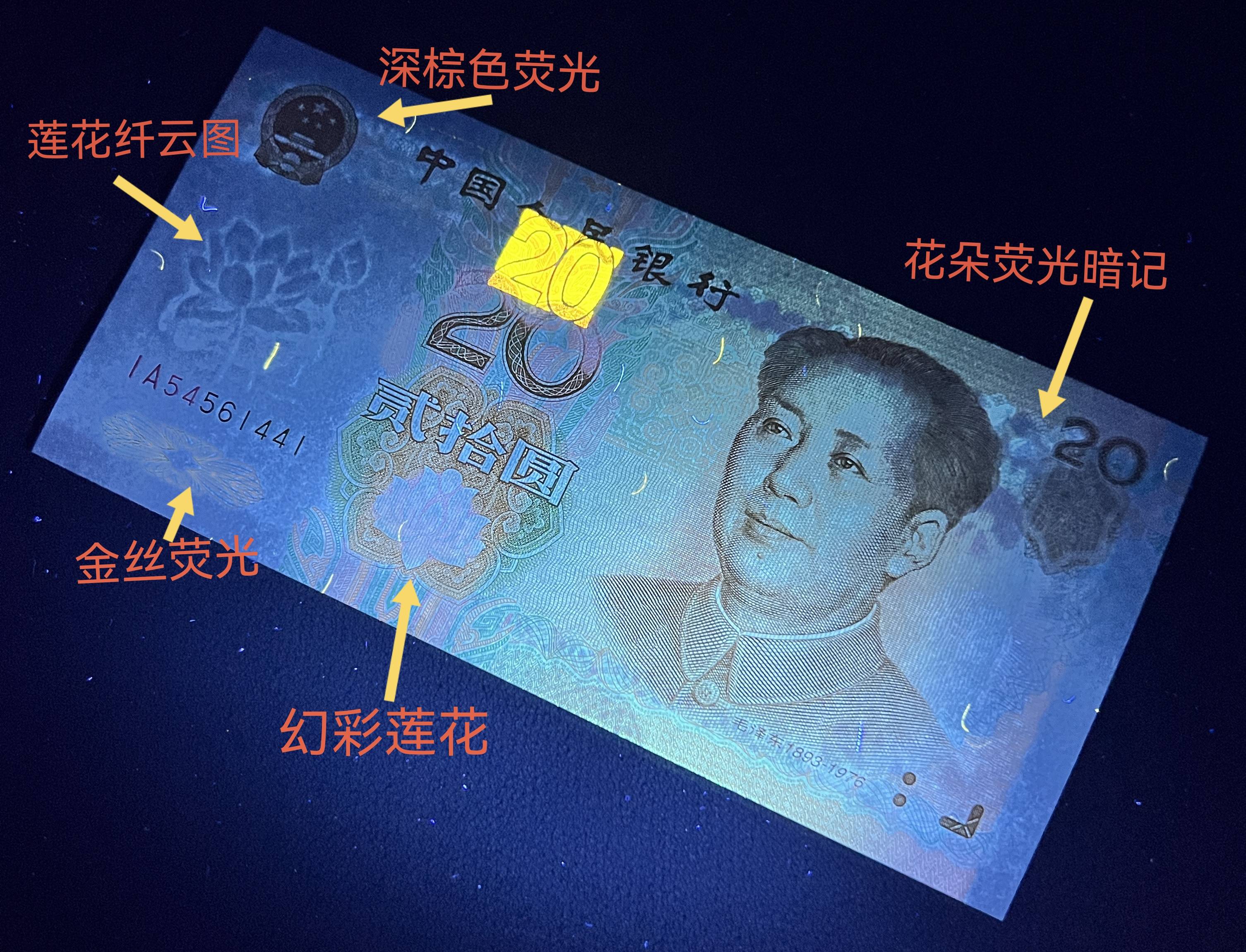 20元人民币荷花图片