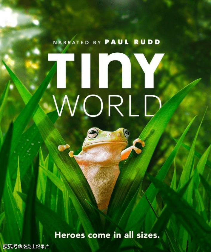 【123】AppleTV纪录片《小小世界 Tiny World 2021》第二季全6集 英语多国中字 官方纯净4K收藏版 4K超清/1080P/MKV/39.9G 微观动物世界