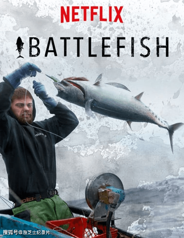 【158】Netflix纪录片《捕鱼之战 Battlefish 2018》全8集 多国语言多语字幕 官方纯净收藏版 1080P/MP4/39.1G 鱼的战争