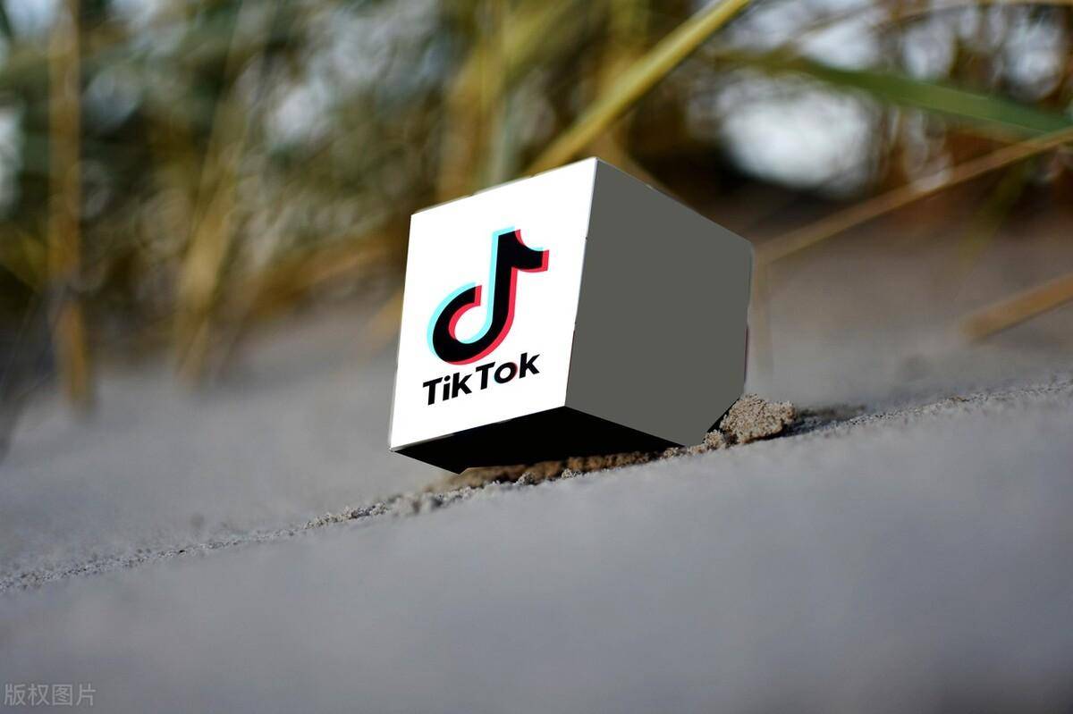 tiktok_基金_内容