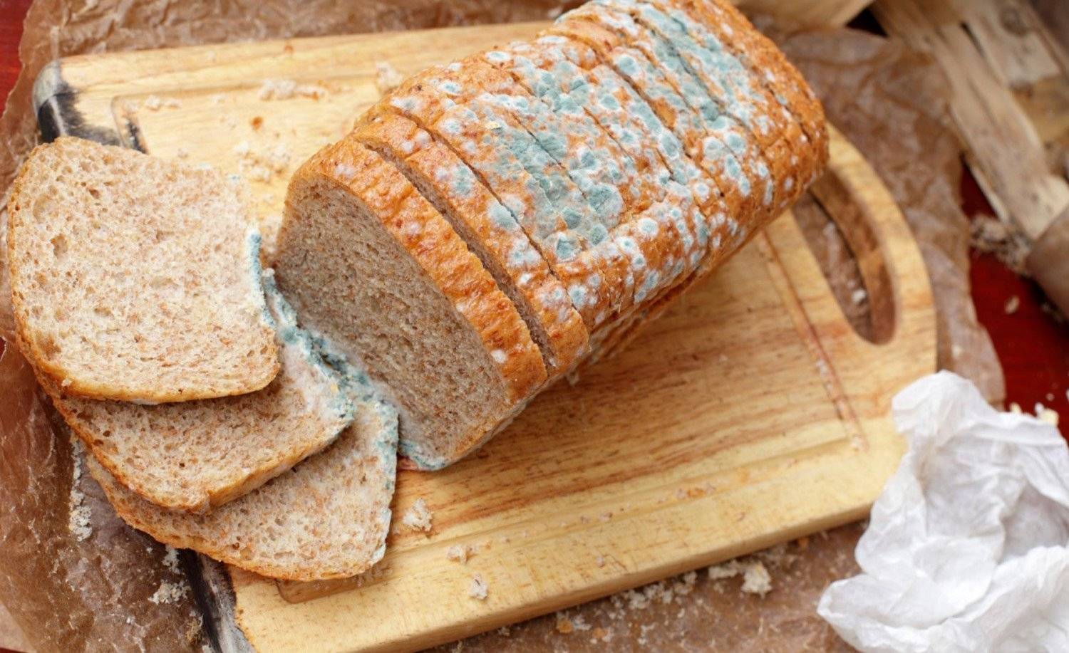 面包食品生产企业遇到的微生物超标的问题!_污染_消毒_细菌