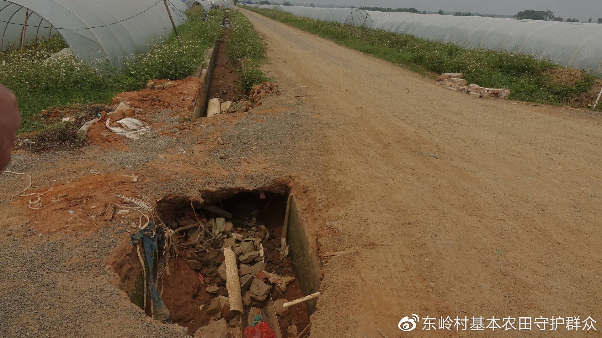 雷州东岭村图片