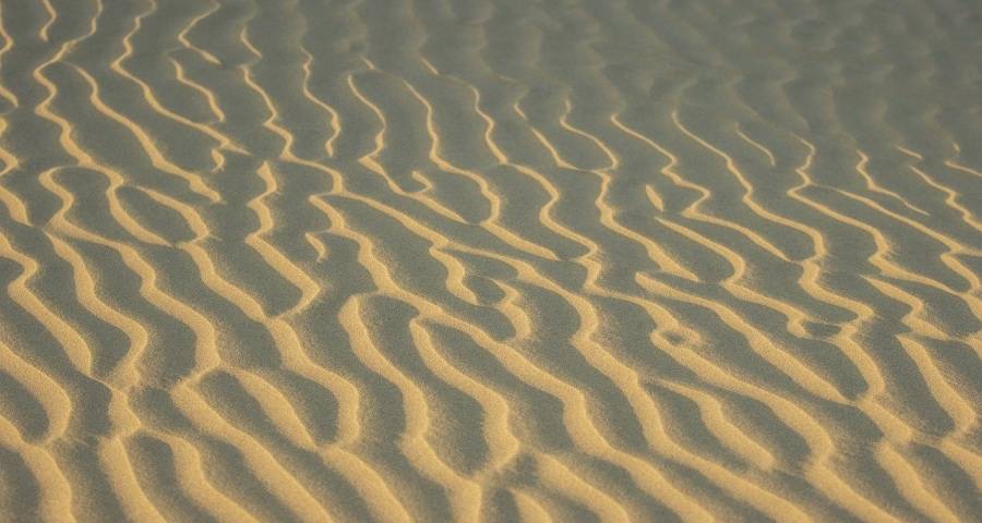 五一家电市场不美电商价格再启,美的海信格力索尼松下很忙碌-家电圈官网