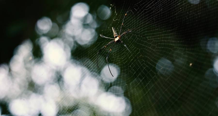 家电与家居一体化经营时刻来了吗？-家电圈官网