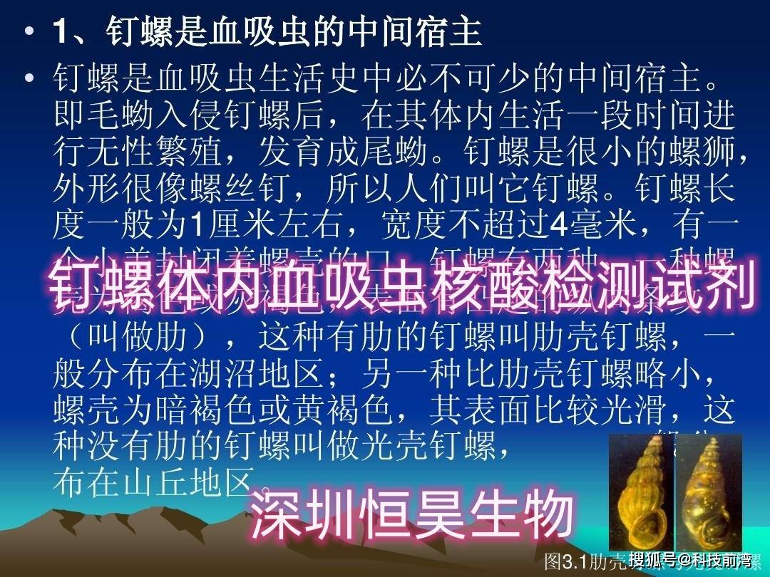 本試劑盒為釘螺體內血吸蟲核酸專門檢測試劑,可檢測到日本血吸蟲在