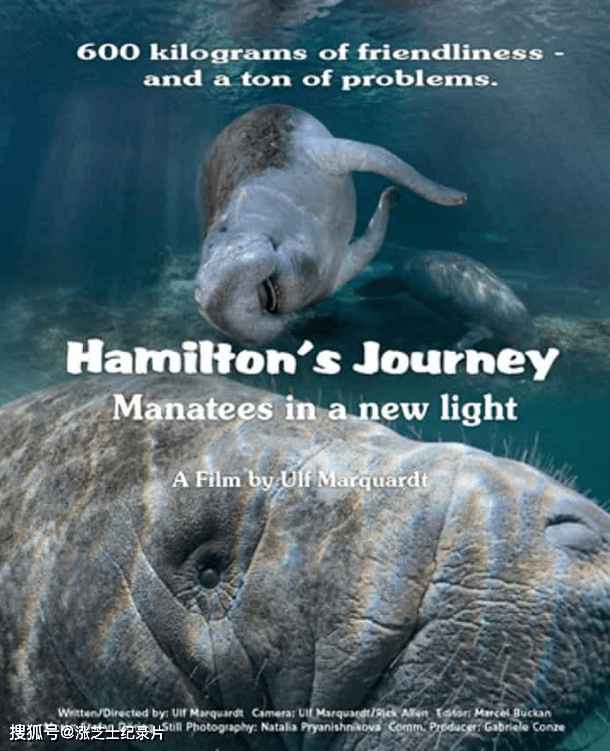 9215-德国纪录片《汉密尔顿的旅程：海牛的新面貌 Hamilton’s Journey: Manatees in a New Light 2014》英语中英双字 官方纯净版 1080P/MKV/3.3G 海牛纪录片
