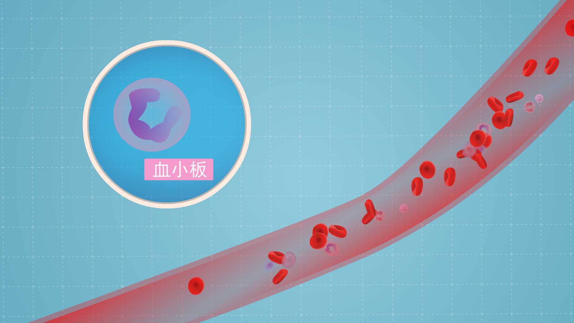 血小板低吃什么补得快一些？-血小板低吃什么补药最好