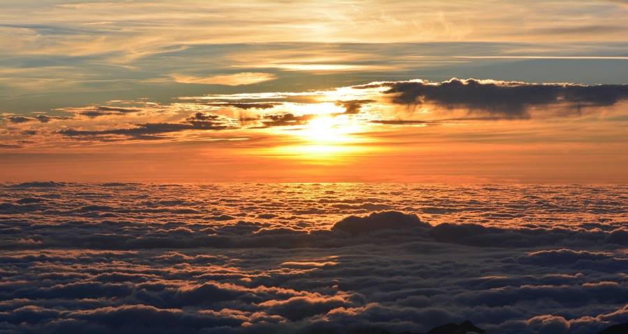 中央空调企业进军分体机市场抢食吃-家电圈官网