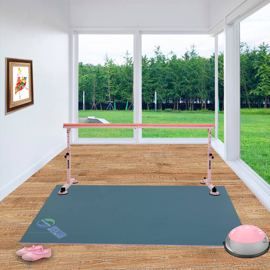 舞蹈地胶垫家用舞蹈室房地胶专用芭蕾舞街舞地垫专业儿童跳舞垫子环保