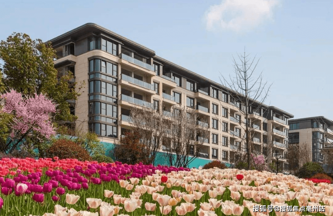 新湖菲林山 (杭州余杭) 新湖菲林山_新湖菲林山-欢迎您丨新湖菲林山