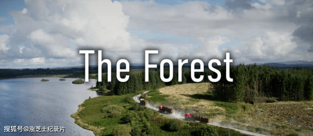 9443-BBC纪录片《森林 The Forest 2018》全6集 英语中英双字 官方纯净版 1080P/MKV/9.91G 森林隐秘世界