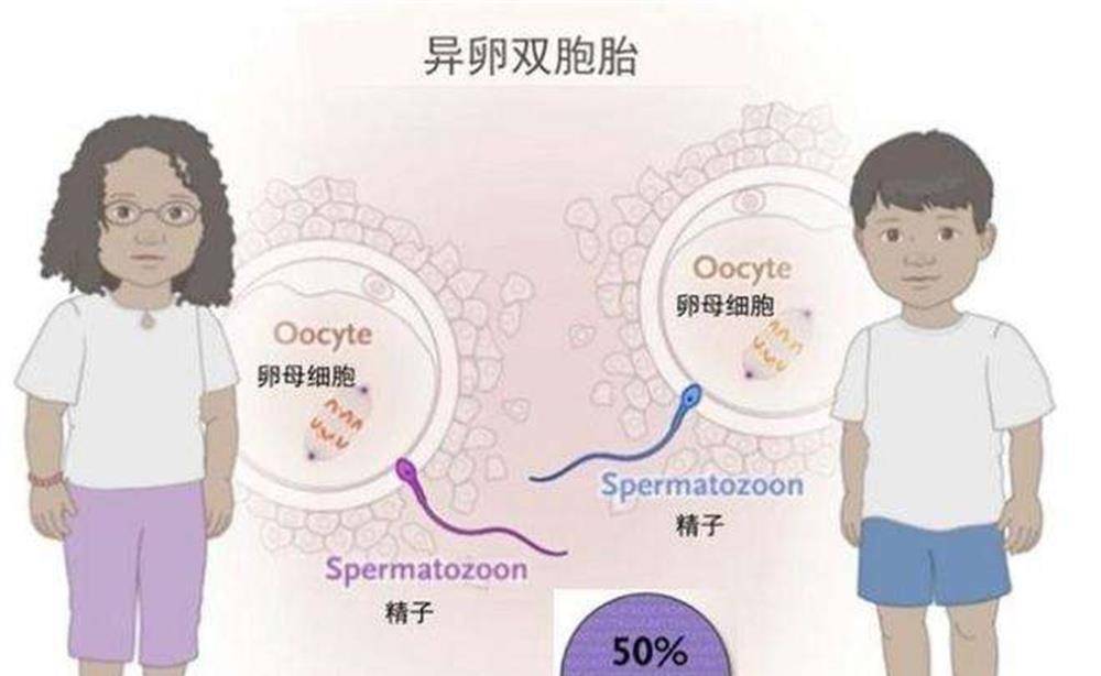 福建男子喜得双胞胎