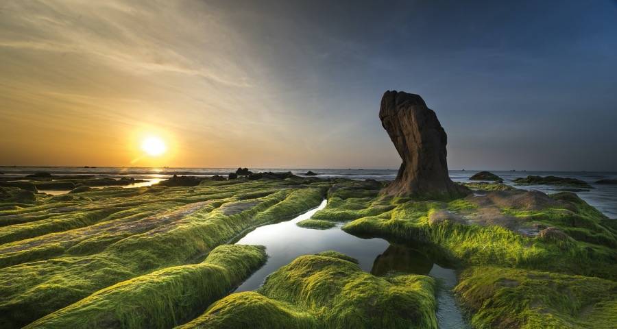 618之后家电市场的经营怎么干？-家电圈官网