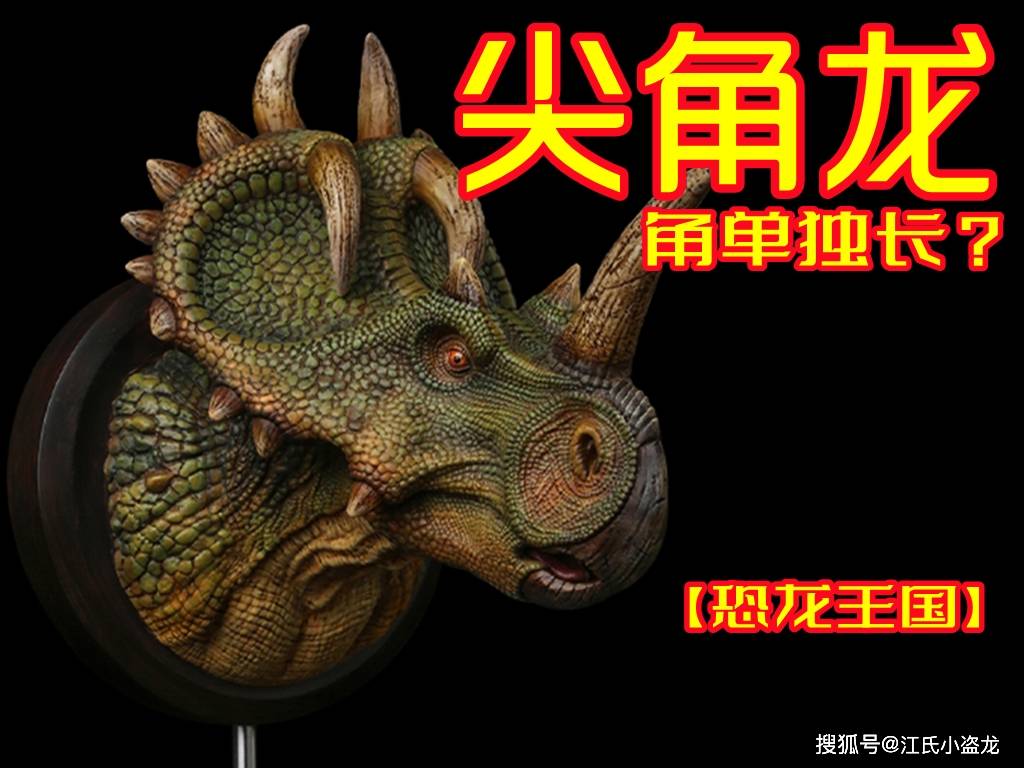 角龙亚科,其中的尖角龙亚科代表物种当然就是尖角龙(centrosaurus)啦