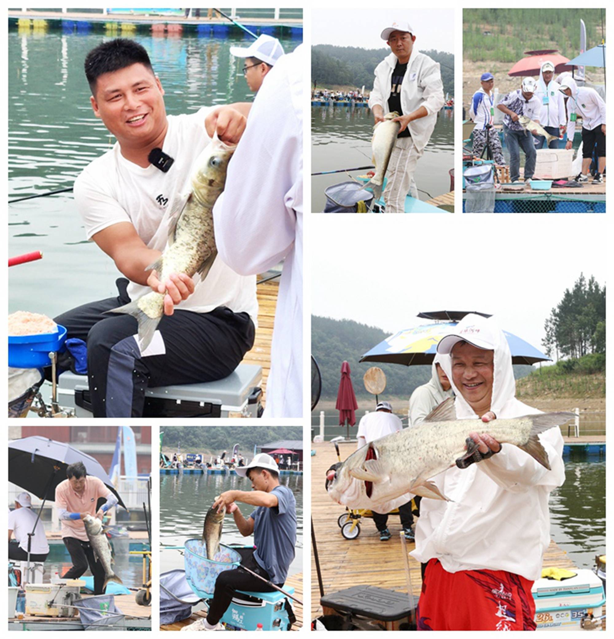 全国钓鱼公开赛关雎河畔"稻花香杯"湖北当阳站圆满举行_比赛_宜昌市