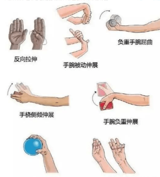 手抽筋,拇指失去知觉?使不上力气?听听医生怎么讲_肌腱_运动_腱鞘