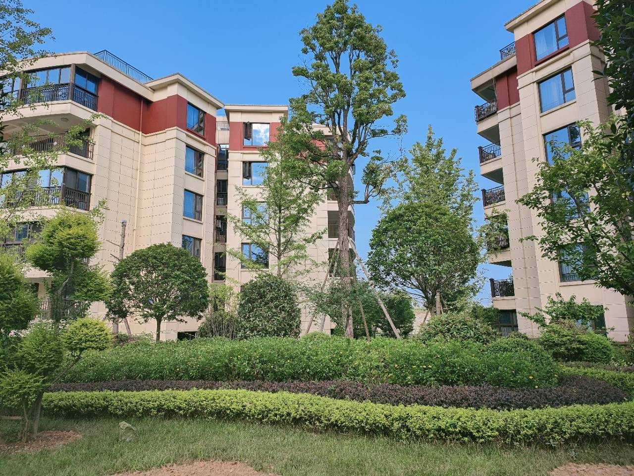 青城山避暑康养现房【青城颐养中心】最全解析 环境好不好 价格 售楼