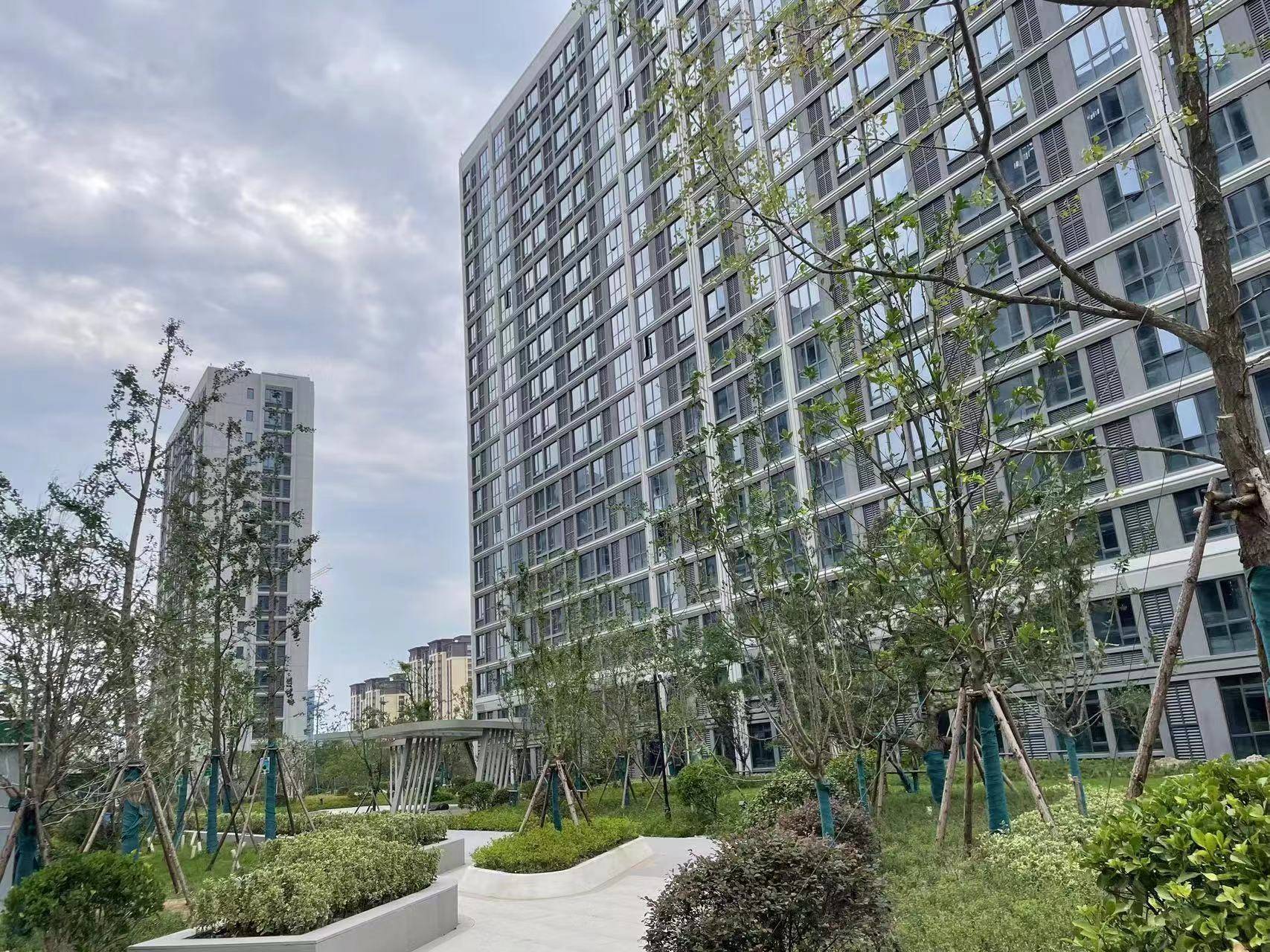 海盐新大滨海蓝湾,望海新区国企开发 售楼处电话 楼盘详情咨询_湾区