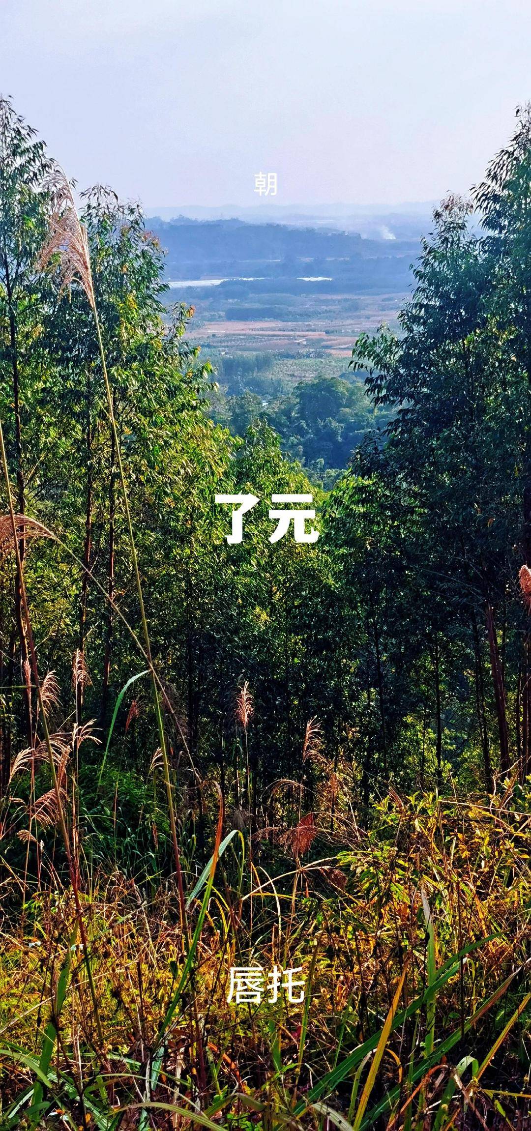 后语:此地立子山午向兼壬丙,水消于丁方!关注我,下期更精彩!