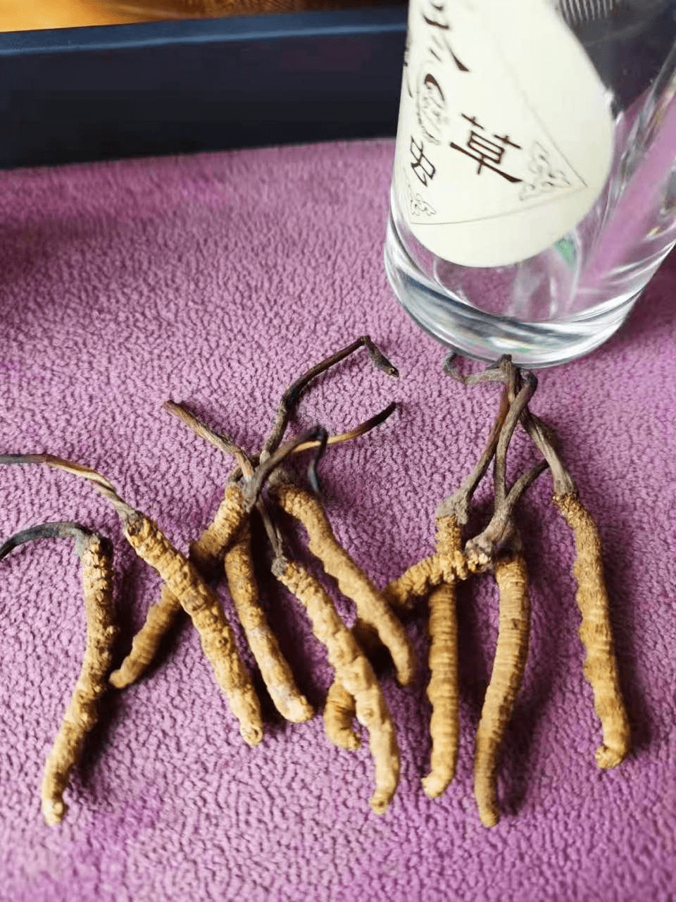 珍峰冬虫夏草让我越滋补越省钱_大姐_价格_问题
