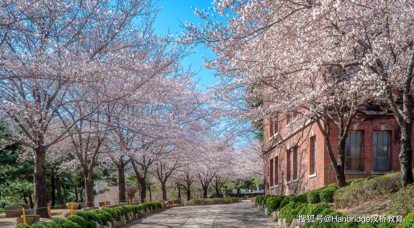 启明大学建校于1899年,位于韩国第三大城市大邱广域市,经124年的发展
