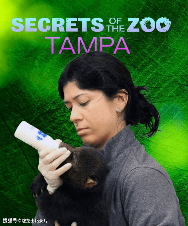 9650-国家地理《动物园秘辛：坦帕湾 Secrets of the Zoo: Tampa 2023》第3-4季全24集 英语中英双字 官方纯净收藏版 1080P/MP4/47.2G 动物园的秘密