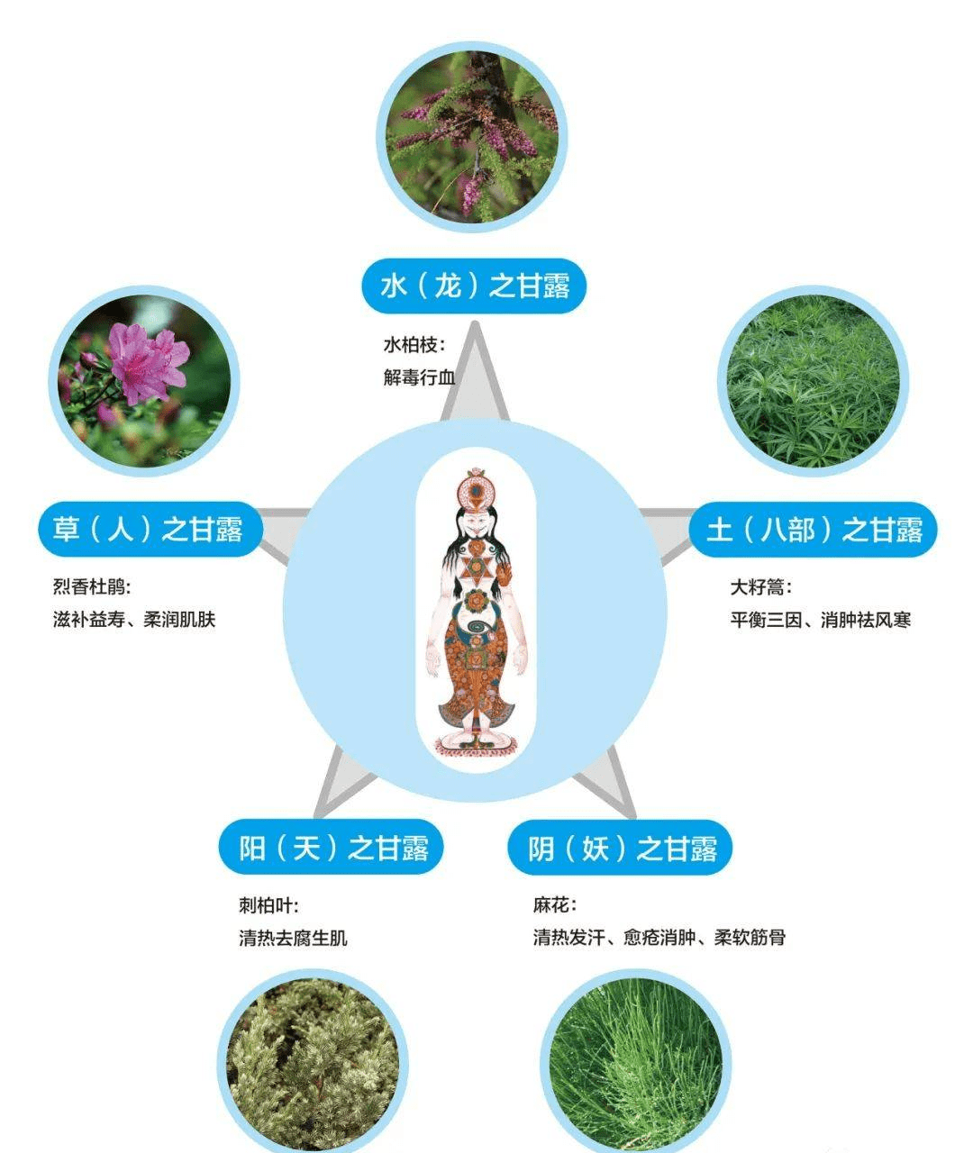 藏医四大特色疗法图片