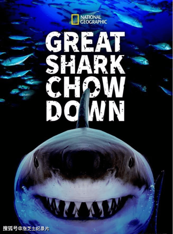 9947-国家地理《鲨鱼进食秀 Great Shark Chow Down 2019》英语多国中字 官方纯净版 1080P/MKV/2.68G 鲨鱼猎食