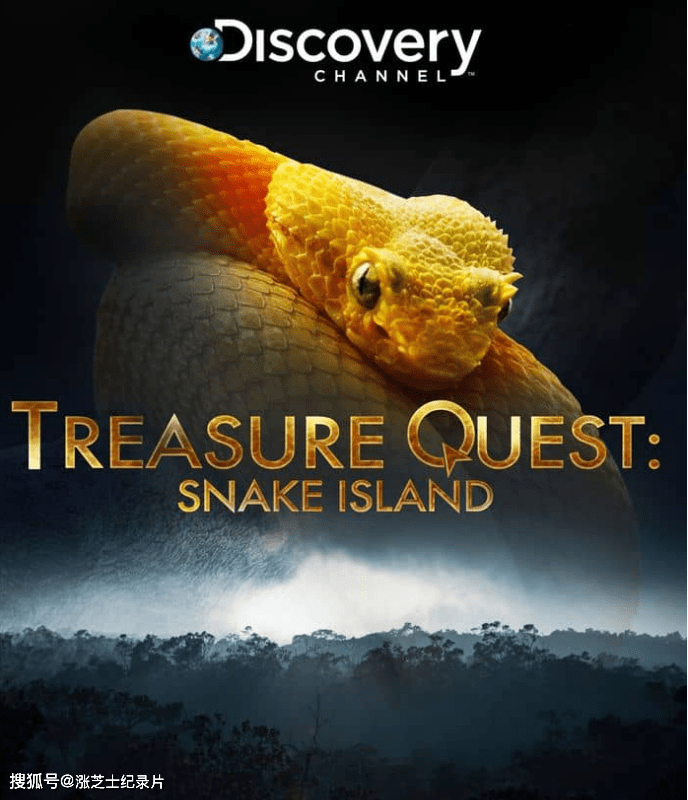 9899-探索频道《蛇岛寻宝 Treasure Quest: Snake Island 2018》第1-3季全20集 英语外挂中字 1080P/MKV/38.2G 毒蛇岛寻找印加宝藏