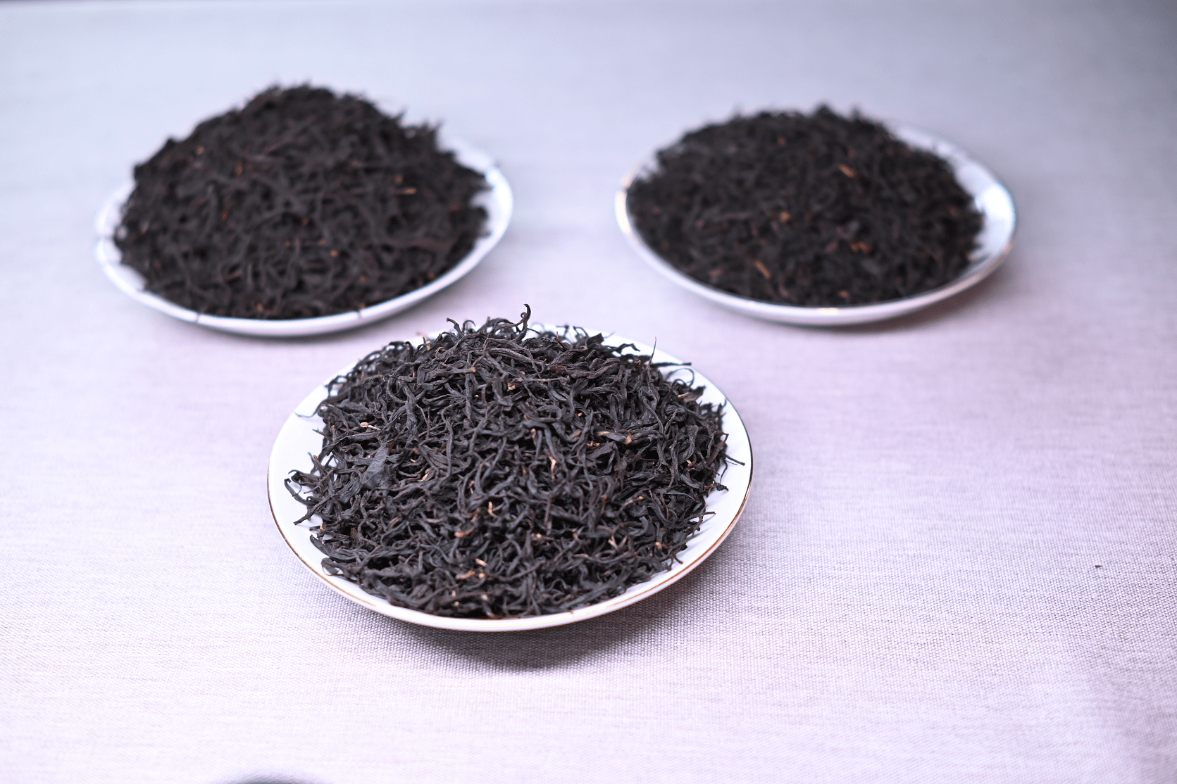 2023年湖南茶博会新化红茶推介会隆重举行_茶叶_企业_品牌