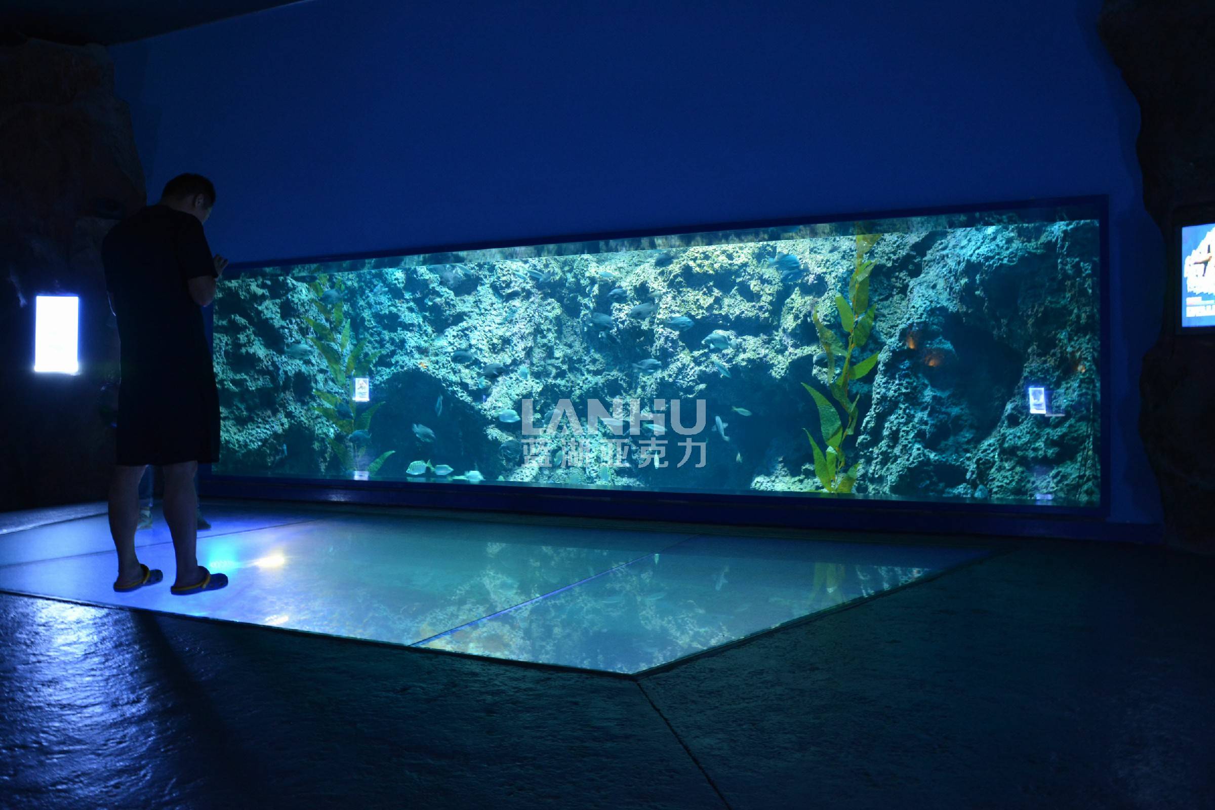 大型亚克力鱼缸装饰,用假珊瑚打造绚丽海底世界_水质_进行_海洋