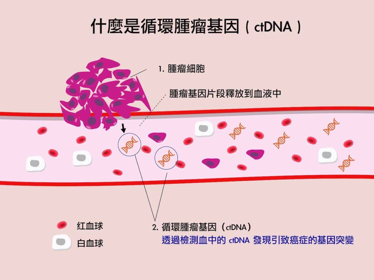 墙裂推荐（验孕棒会不会出现假）怀孕的最初征兆1-14天 第2张