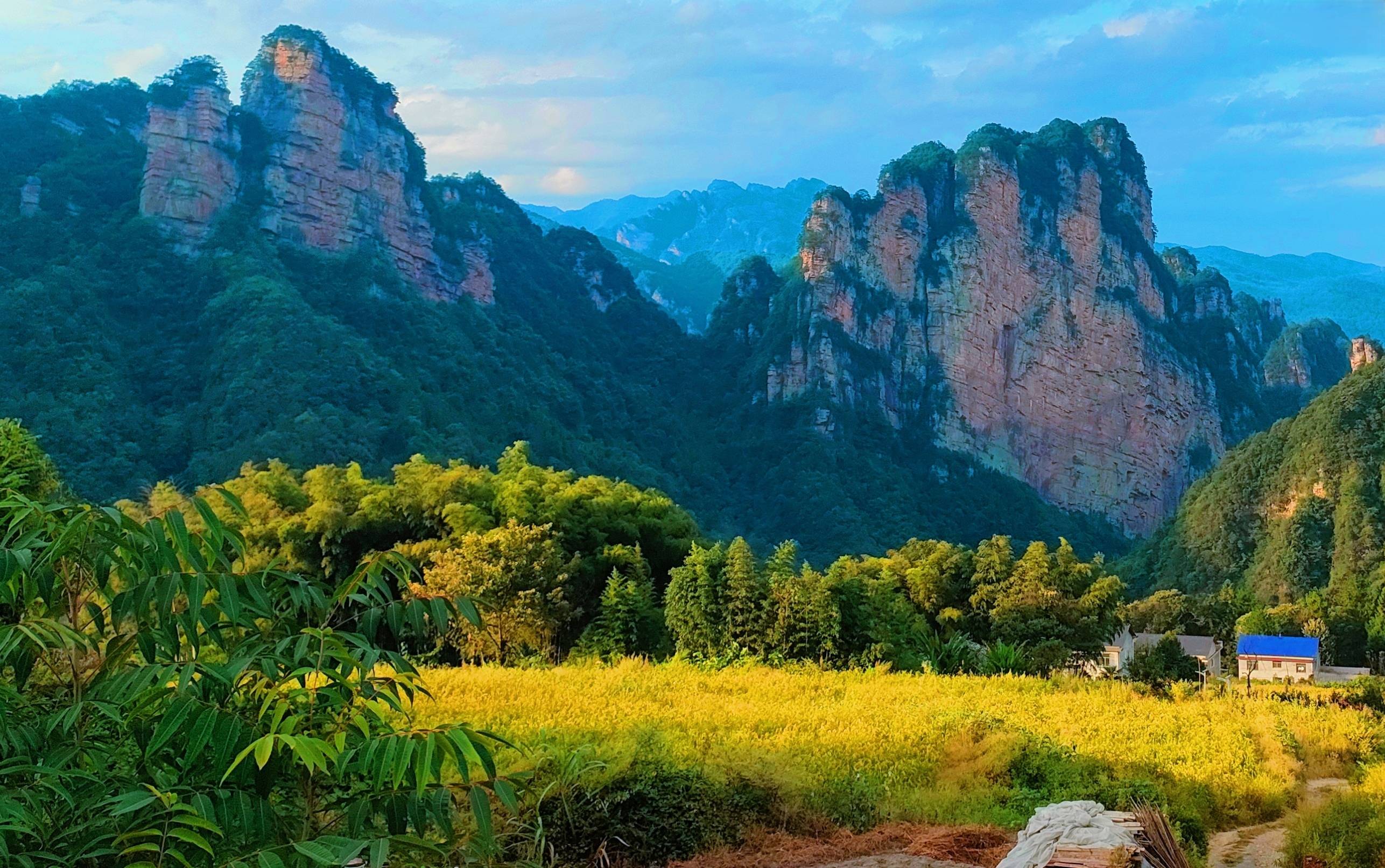 张家界板栗山:党员干部齐上阵 助力秋收暖老兵_服务_活动_氛围