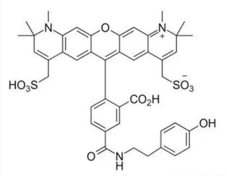 af 594 tyramide,af 594 tsa可用于检测和定位蛋白质_ifluor_荧光