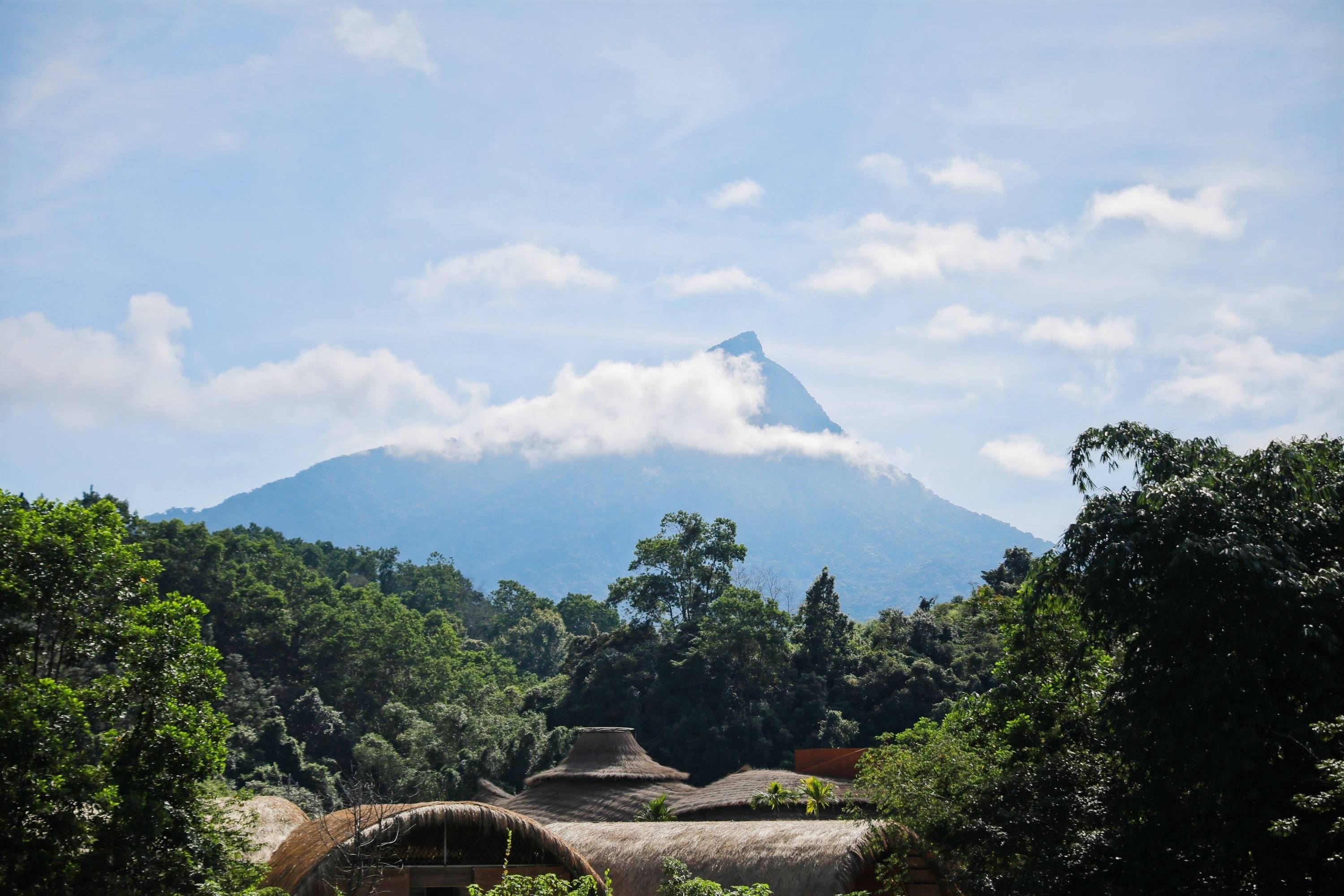 海南中部五指山,全年特舒爽的地方!