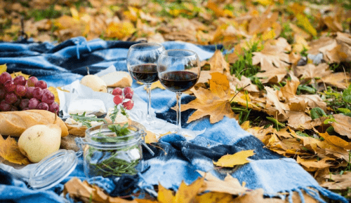 与秋日美好不期而遇 来一场野餐收集浪漫 