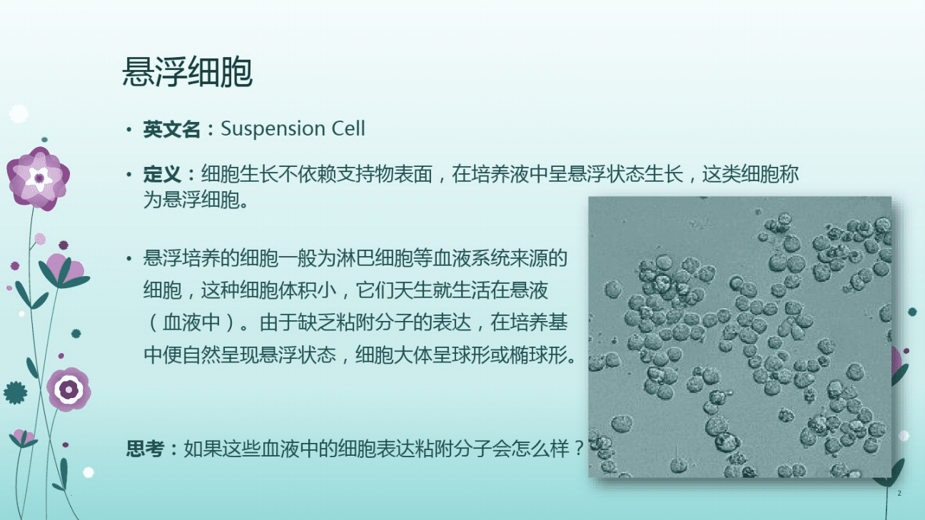 细胞传代培养(悬浮,贴壁)_操作_进行_培养基