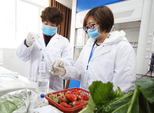 别错过！农产品食品检验员证书好不好考？含金量咋样？适合什么人考？报考条件