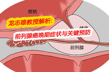 近日,我们有幸在广州中医药大学金沙洲医院17楼国际精准肿瘤中心采访