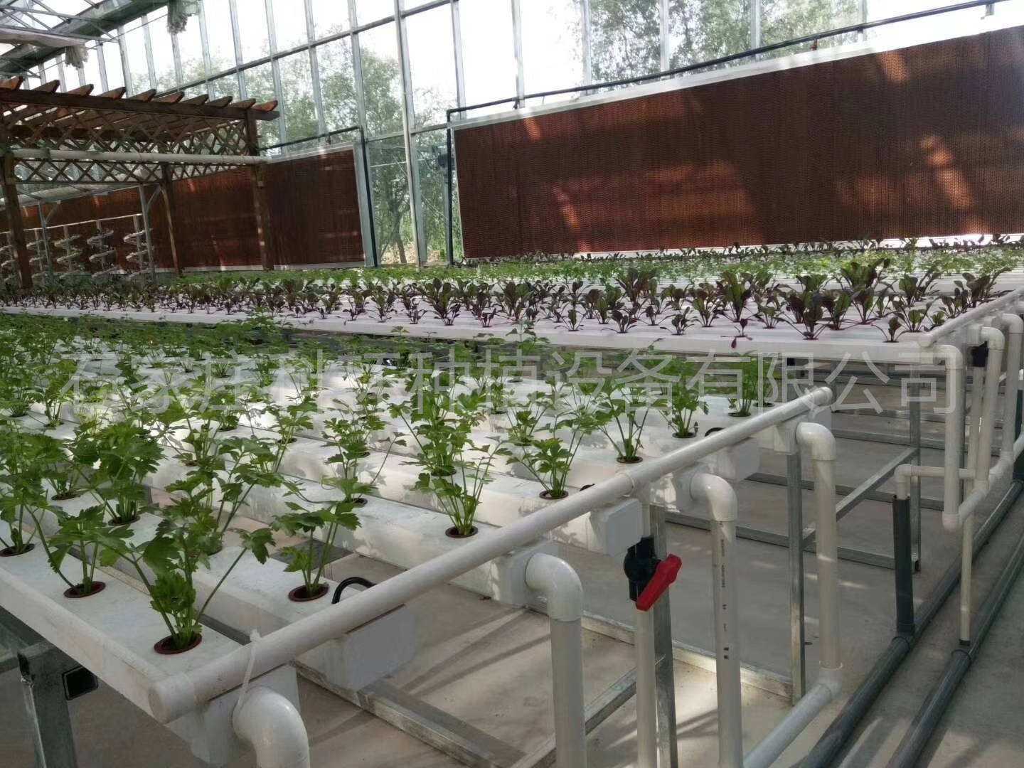 新型水培设备有哪些水培管水培架nft水培系统水培管道生产厂家科环